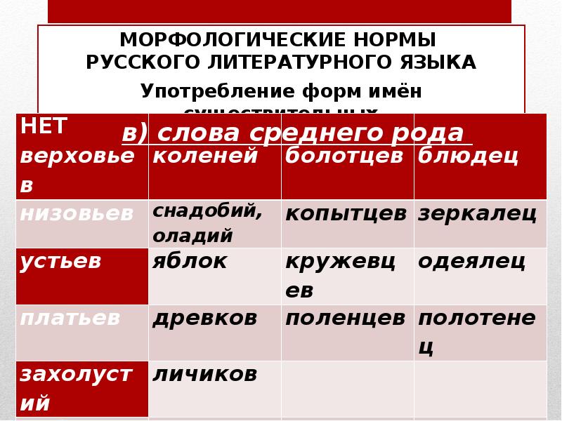 Современная литературная норма. Нормы русского языка. Нормы русского языка таблица. Норма ‑ это главный показатель русского литературного языка. 2. Виды норм русского литературного языка.