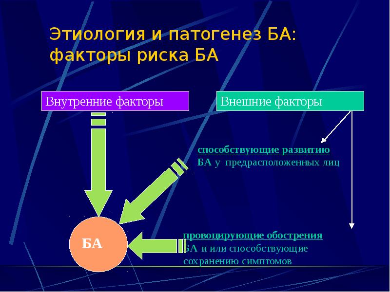 Этиология и патогенез БА: факторы риска БА