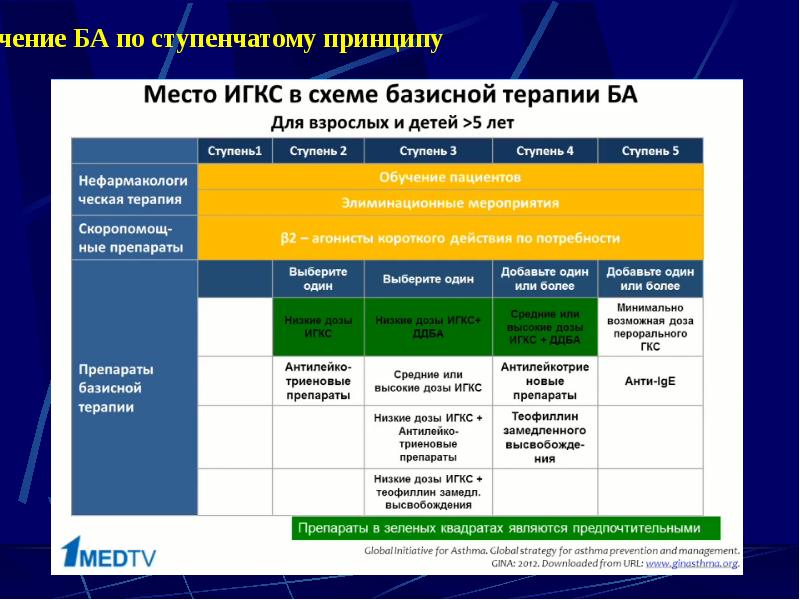 Бронхиальная астма лекция по терапии презентация