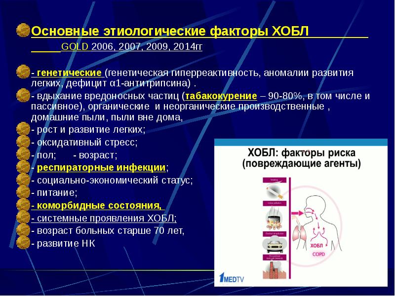 Основные этиологические факторы ХОБЛ       