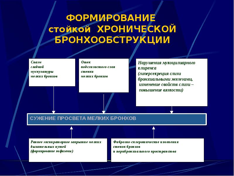 ФОРМИРОВАНИЕ  стойкой ХРОНИЧЕСКОЙ БРОНХООБСТРУКЦИИ