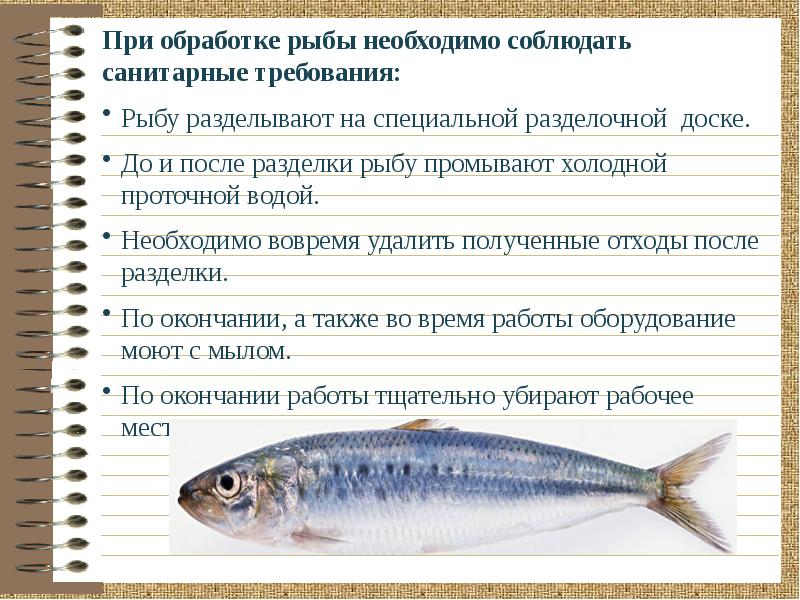 Презентация на тему обработка рыбы для фарширования - 90 фото