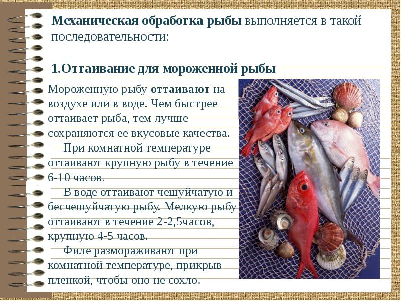 Организация обработки рыбы. Механическая кулинарная обработка рыбы. Механическая куленория обработка рыбы. Последовательность механической кулинарной обработки рыбы. Первичная обработка рыбы.