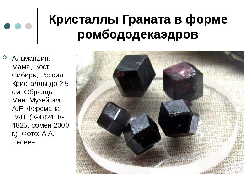Кристаллы Граната в форме ромбододекаэдров Альмандин. Мама, Вост. Сибирь, Россия. Кристаллы