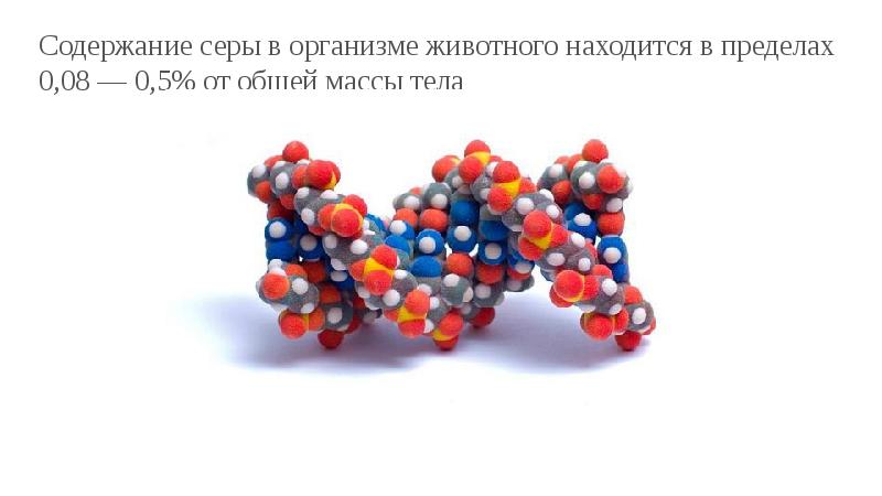 Сера в продуктах. Содержание серы в организме. Содержание серы в белках. Сера в составе белков. Сера в природе белки.