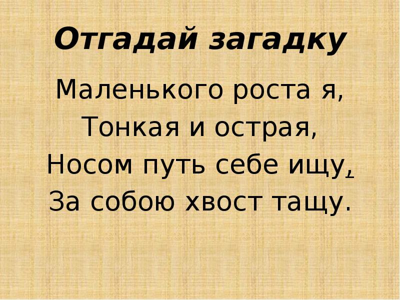 Рост тонкой. Маленького роста я тонкая и острая носом. Маленького роста я тонкая и острая. Маленького роста я тонкая и острая носом путь себе ищу за собою. Загадка маленького роста я.