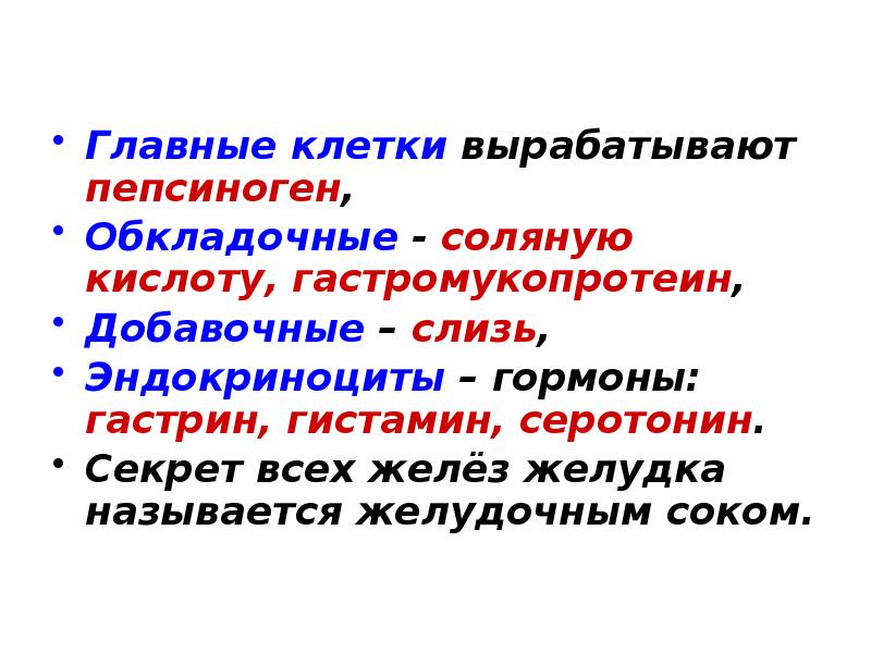 Клетки вырабатывают. Главные клетки вырабатывают. Добавочные клетки желудка вырабатывают. Главные клетки желудка продуцируют. Клетки желудка вырабатывающие соляную кислоту.