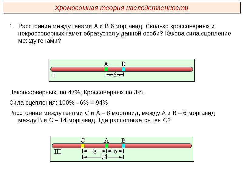 Рассмотрите рисунок 81 определите на каком расстоянии в морганидах находятся гены отвечающие