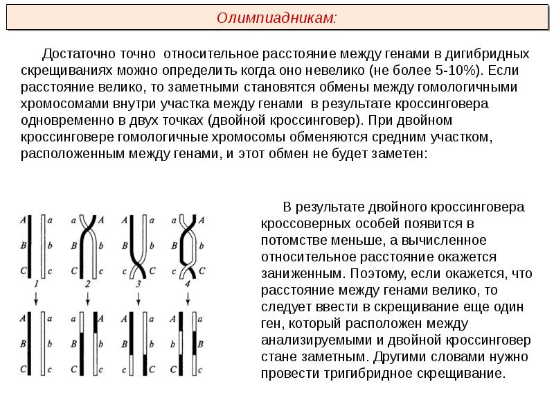 Рассмотрите рисунок 81 определите на каком расстоянии в морганидах находятся гены отвечающие