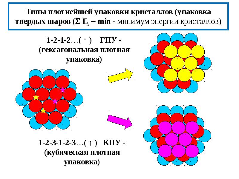 Эктоморф мезоморф и эндоморф женщины. Плотный тип. Культура клеток растений каллус. Эктоморф 90 кг. Плотный тип.