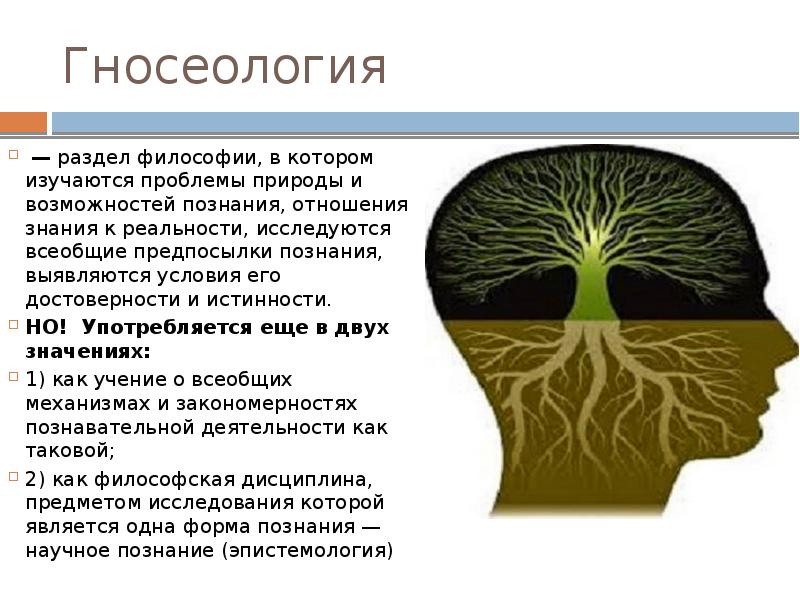 Гносеология в философии кратко