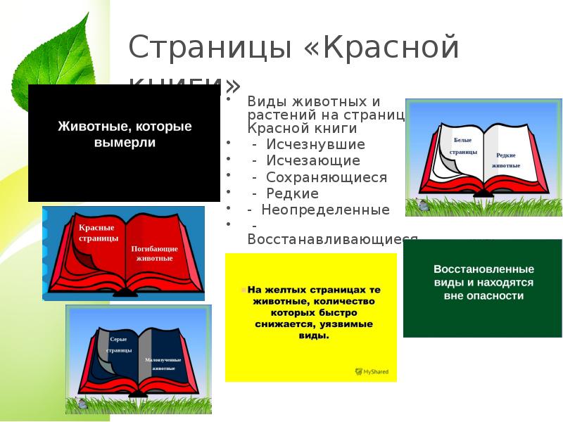 Страницы «Красной книги» Виды животных и растений на страницах Красной книги
