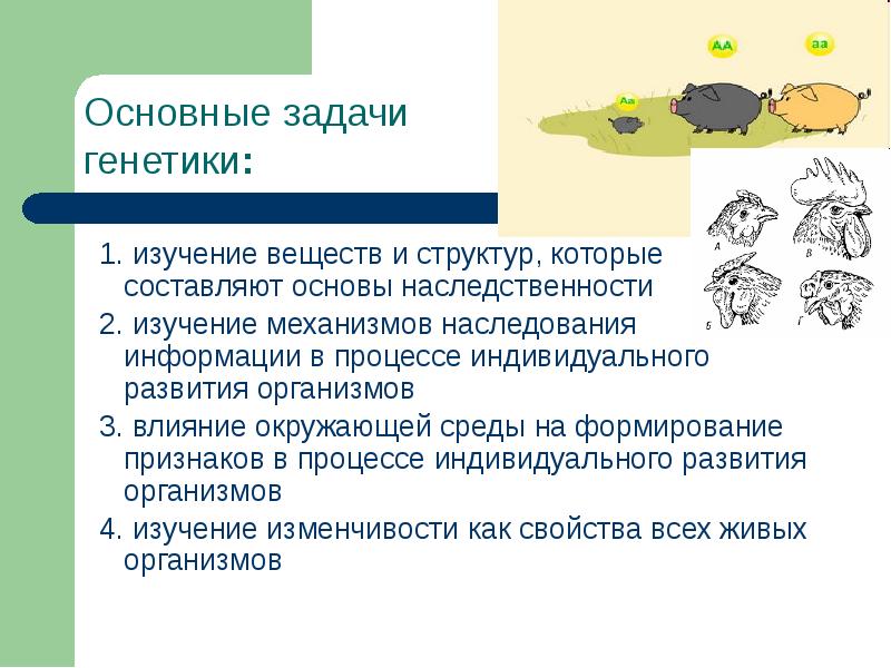 Основы генетики презентация