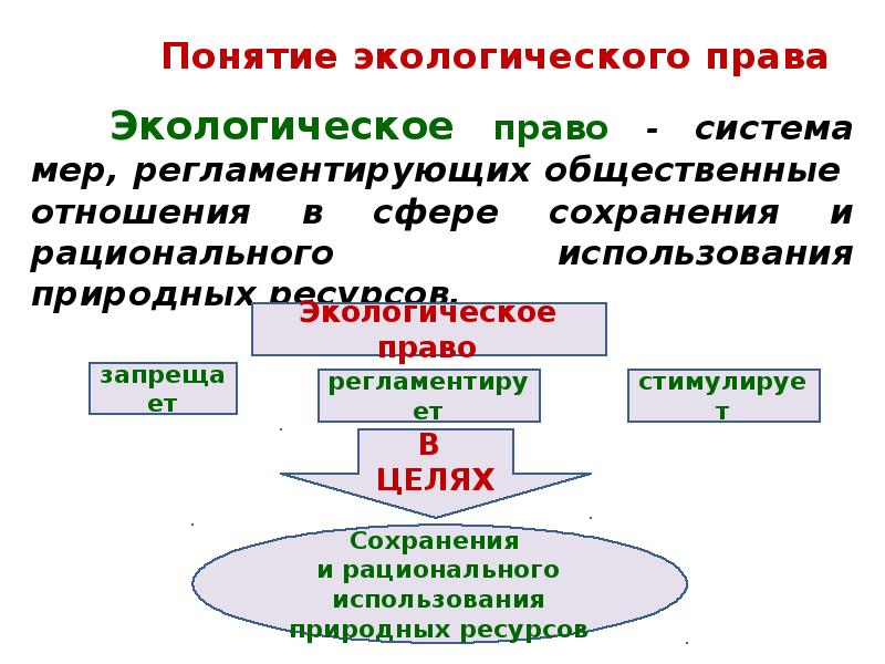 Экологические понятия