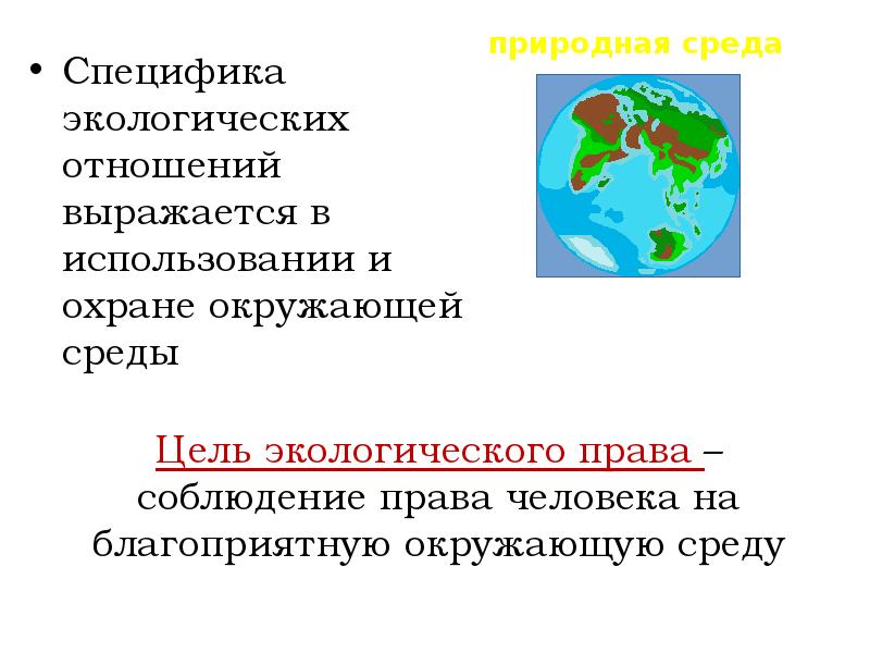 Международное экологическое отношение