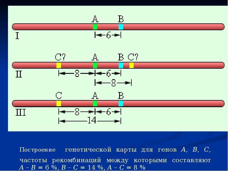 Рассмотрите рисунок 81 определите на каком расстоянии