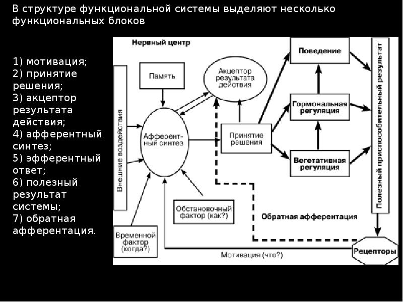 Функциональная система управления схема. Теория функциональных систем. функциональная структура системы. строение функциональной системы. схема функциональной системы питания.