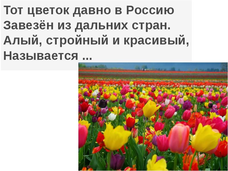 Рисуем весенние цветы презентация 1 класс