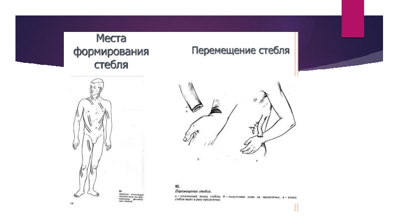 Пластическая хирургия презентация