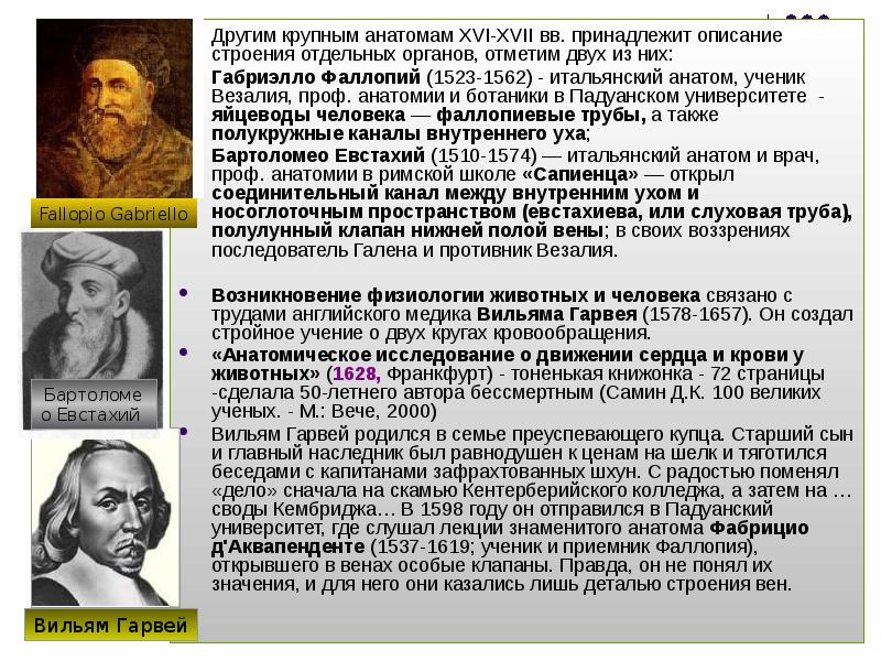 Ученые эпохи возрождения биология. Основоположники научной анатомии в эпоху Возрождения. Ученые эпохи Возрождения. Важнейшие открытия в анатомии в XV-XVI ВВ.. Фаллопий вклад в анатомию.