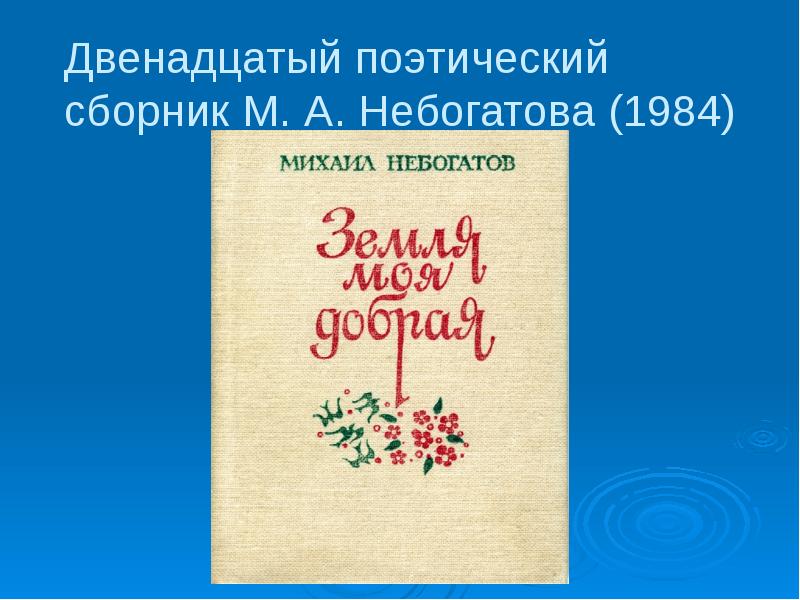 Небогатов михаил александрович презентация