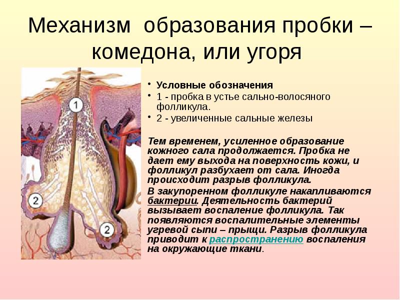 Презентация на тему косметические гели