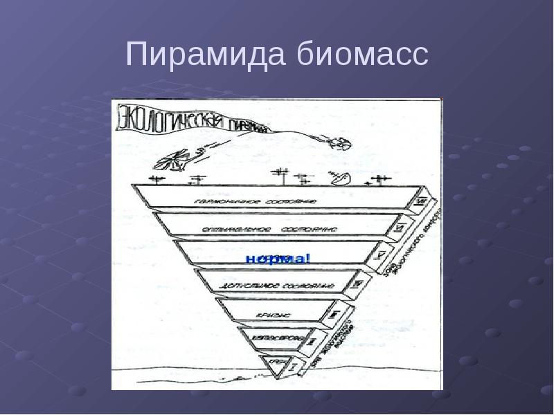 Экологические пирамиды пирамида биомасс. Пирамида биомассы океана. Пиромида биомасса перевёрнута.