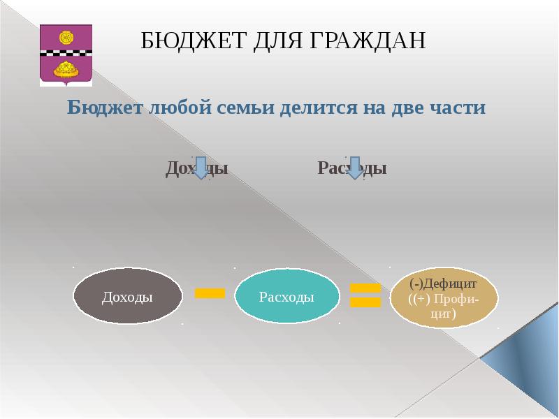 Бюджет для граждан. Прибыль делится на 2 части. Доход делится на две части. На какие две части делится бюджет. Любой бюджет.