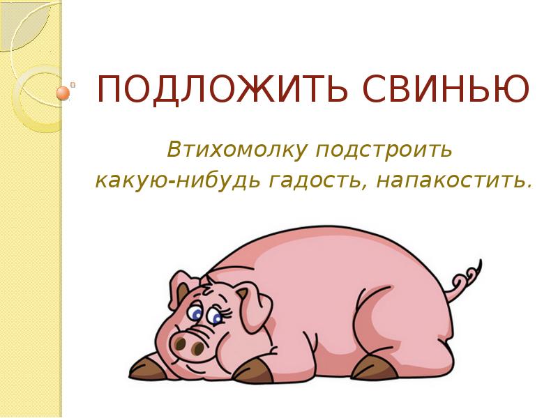 Русский язык свиней. Подложить свинью. Подложить свинью фразеологизм. Фразеологизмы про свинью. Подложить свинью значение фразеологизма.