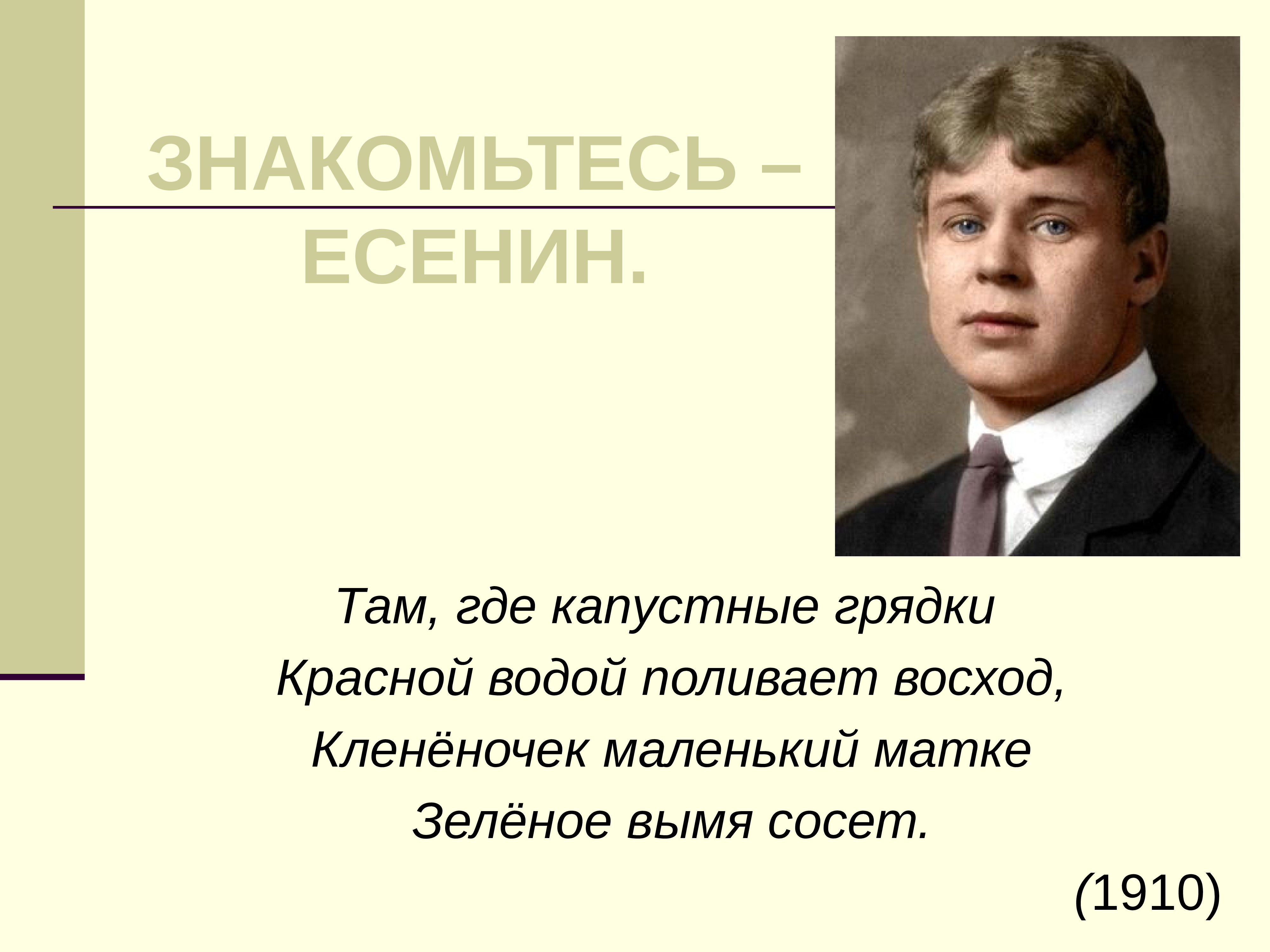 Там где капустные грядки есенин анализ стихотворения. Капустные грядки Есенин. Стихотворение Есенина там где капустные грядки. Там где капустные грядки. Где капустные грядки Есенин.