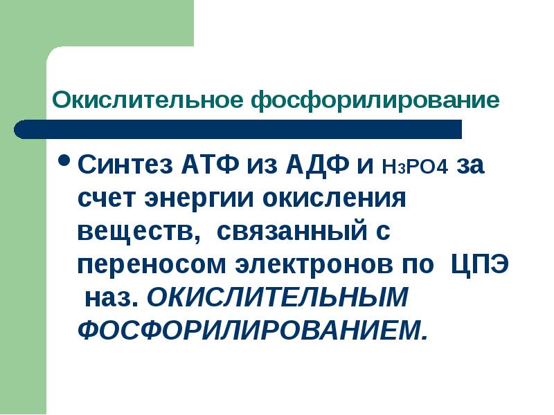 Окислительное фосфорилирование что образуется. Окислительное фосфорилирование что образуется