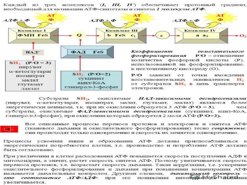 Биологическое окисление в клетках происходит по схеме