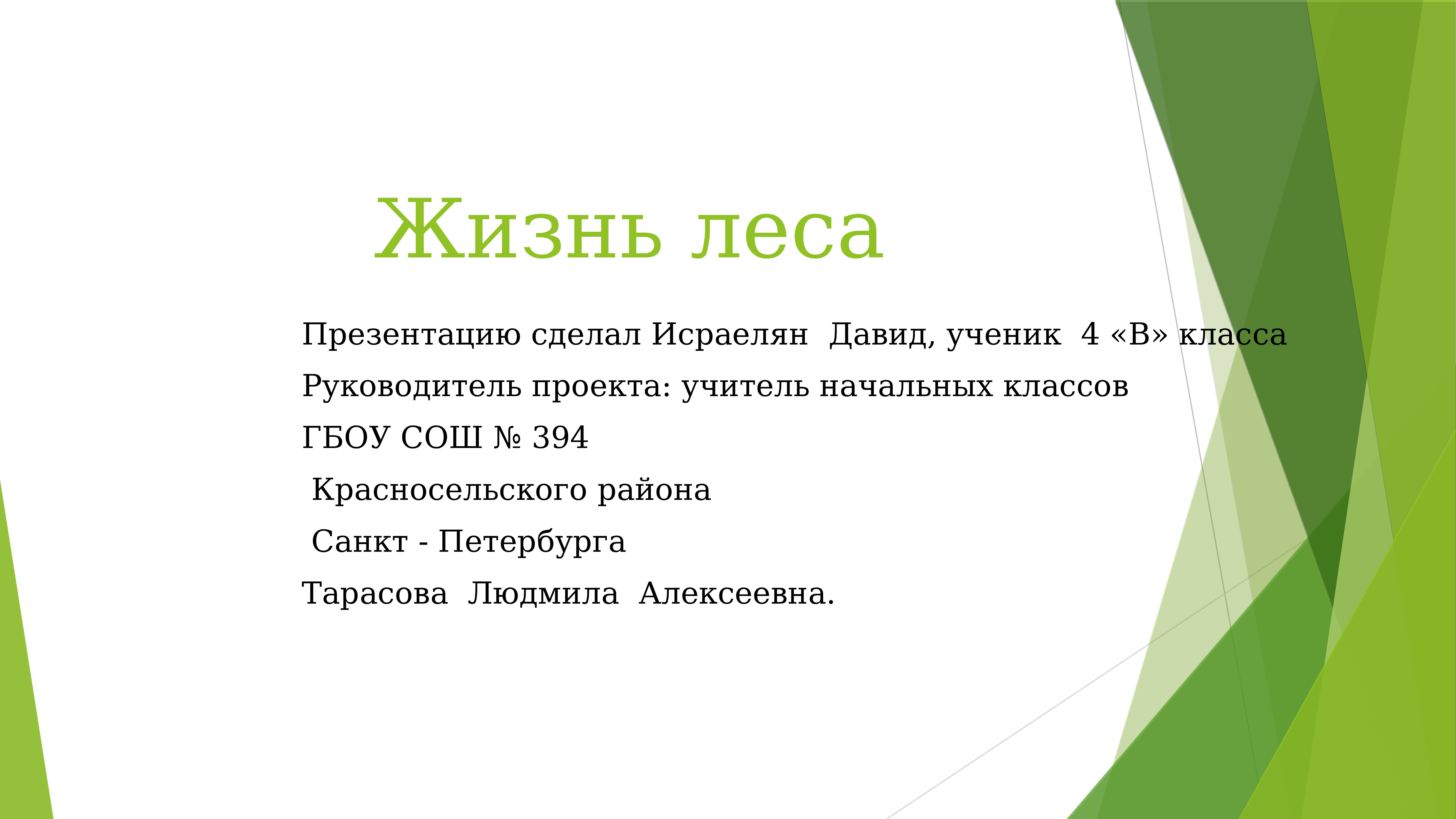 Законы лесной жизни. Законы жизни леса. Законы жизни леса. Законы жизни леса. Законы лесной жизни 3 класс.