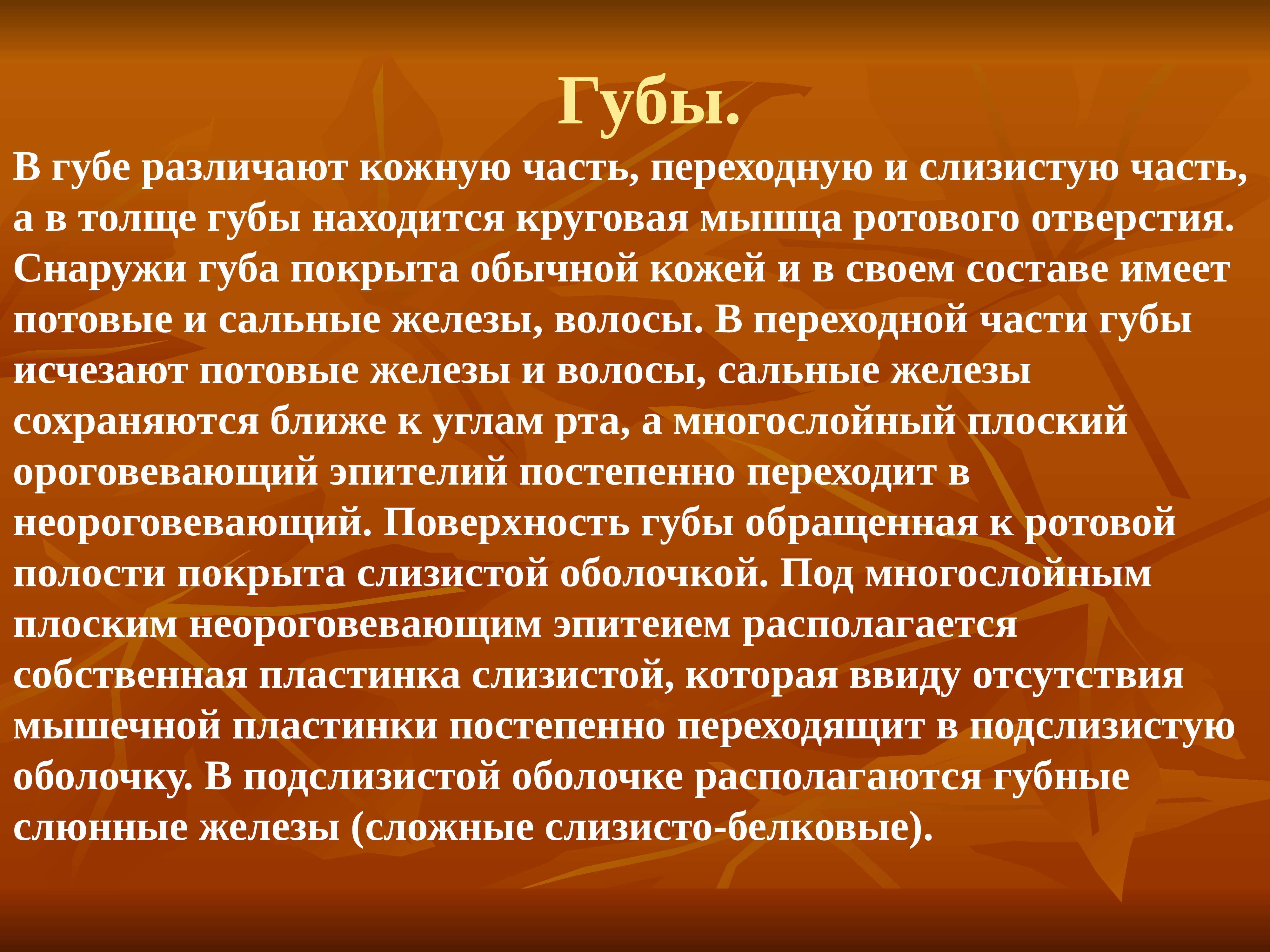 Пиетет. Какао презентация. Какао презентация 5 класс. Диффузное поражение миокарда. Марина Цветаева «старомодную учтивость и бунтарство».