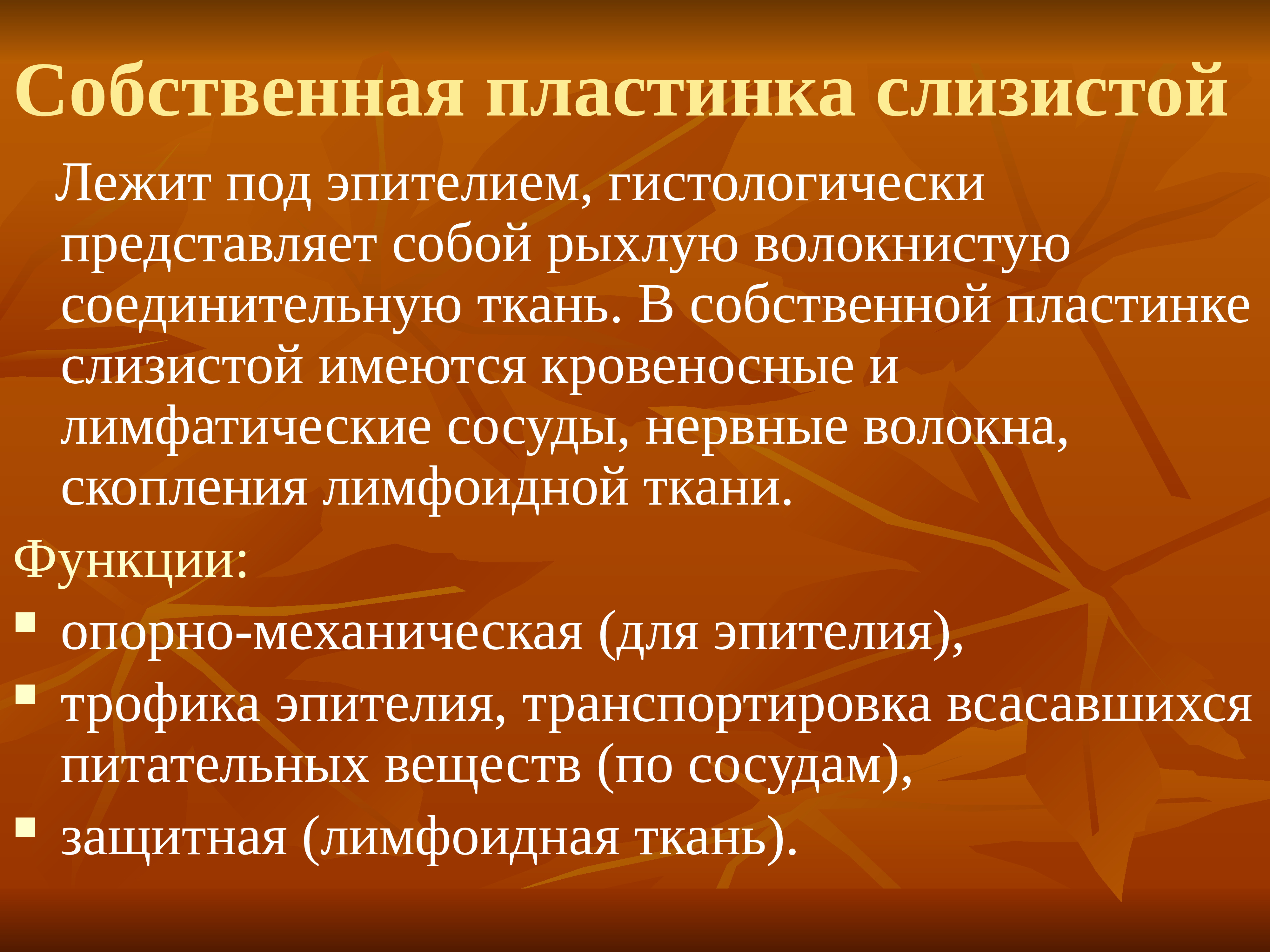 Собственная система. Функции собственной пластинки. Собственная пластинка слизистой.