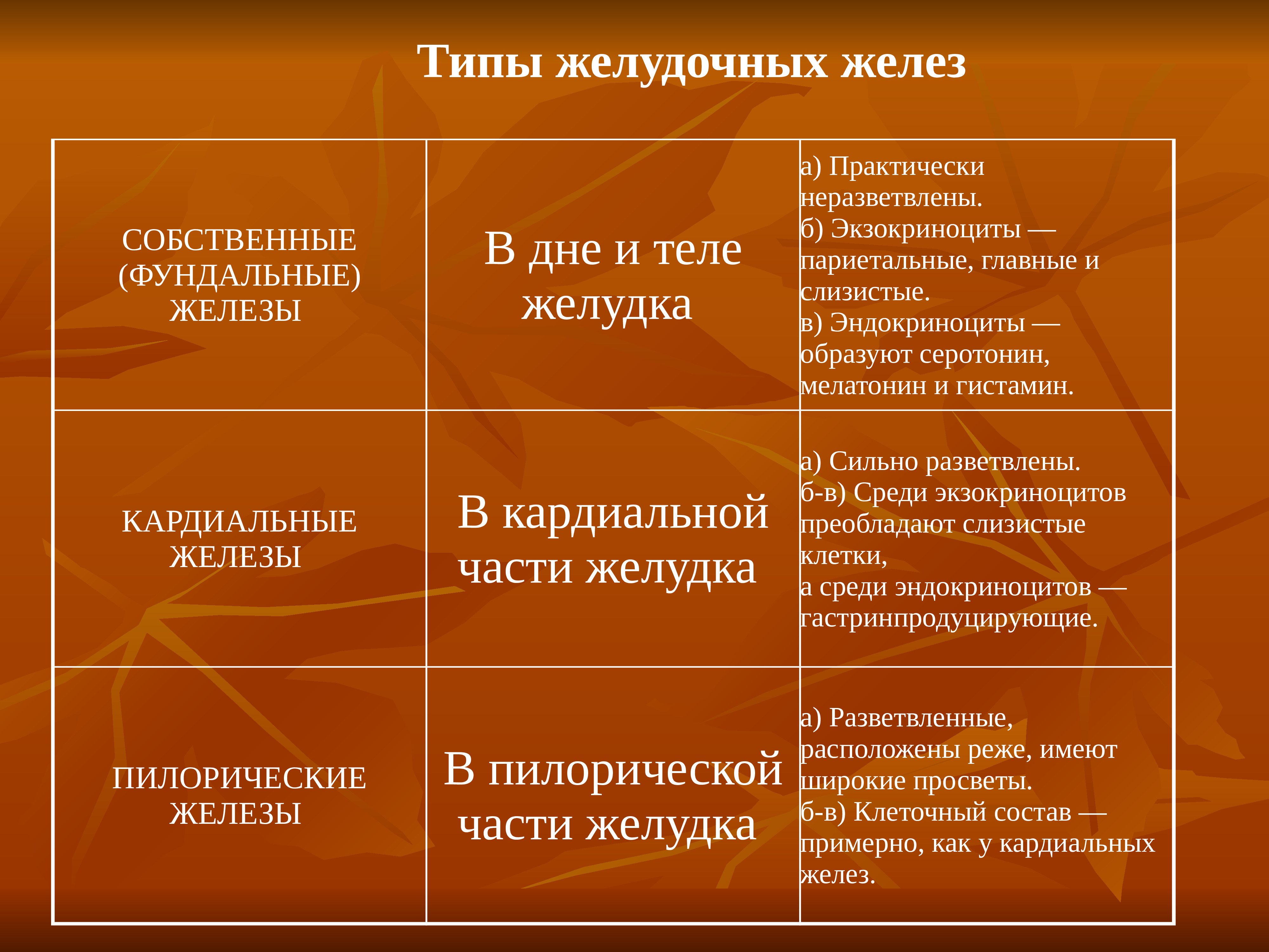 Типы желудков. Классификация типов желудков по видам животных.