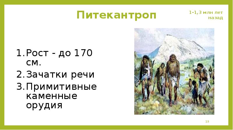 Эволюционное происхождение человека презентация 9 класс пономарева