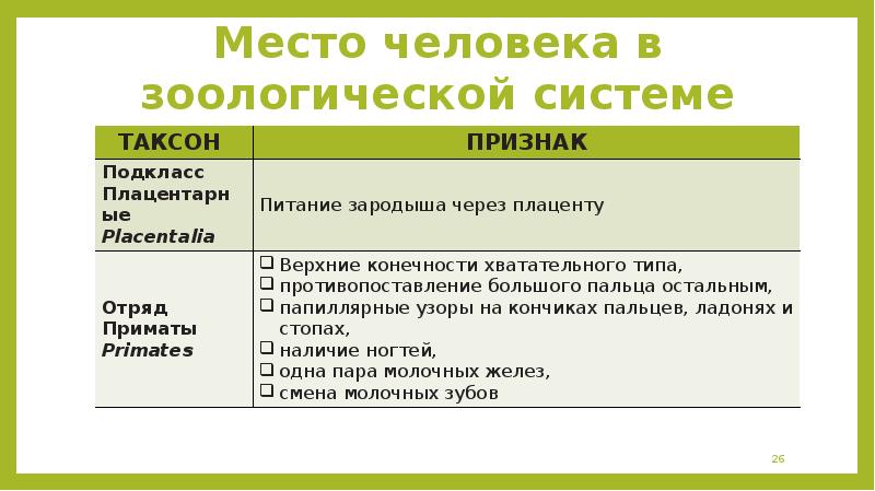 Место человека в зоологической системе презентация