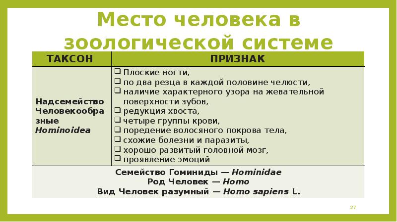 Эволюционное происхождение человека презентация 9 класс пономарева