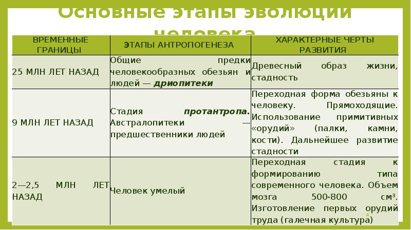 Этапы антропогенеза. Временные границы этапы антропогенеза характерные черты развития. Этапы развития человека, стадии антропогенеза.. Этапы антропогенеза дриопитеки. Временные границы этапы характерные черты развития.