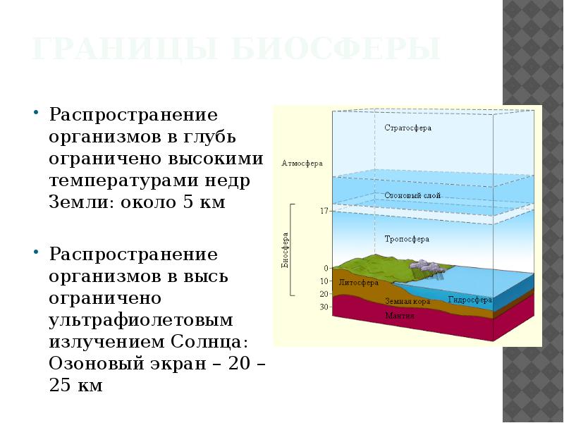 Граница биосферы в океане находится на глубине