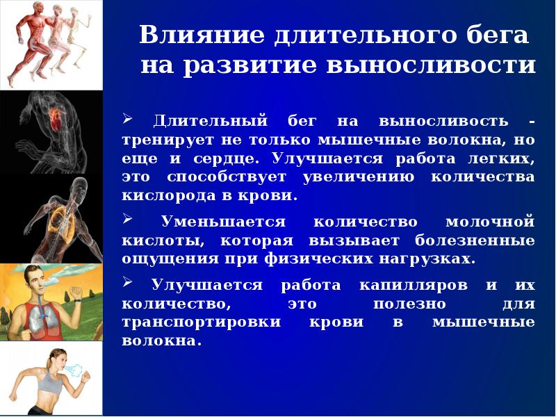 Длительное влияние. Выносливость организма. План развития выносливости. Понятие бег на выносливость. Программа тренировок для повышения выносливости.