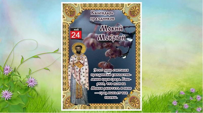 Мудрый Травник Православный Интернет Магазин
