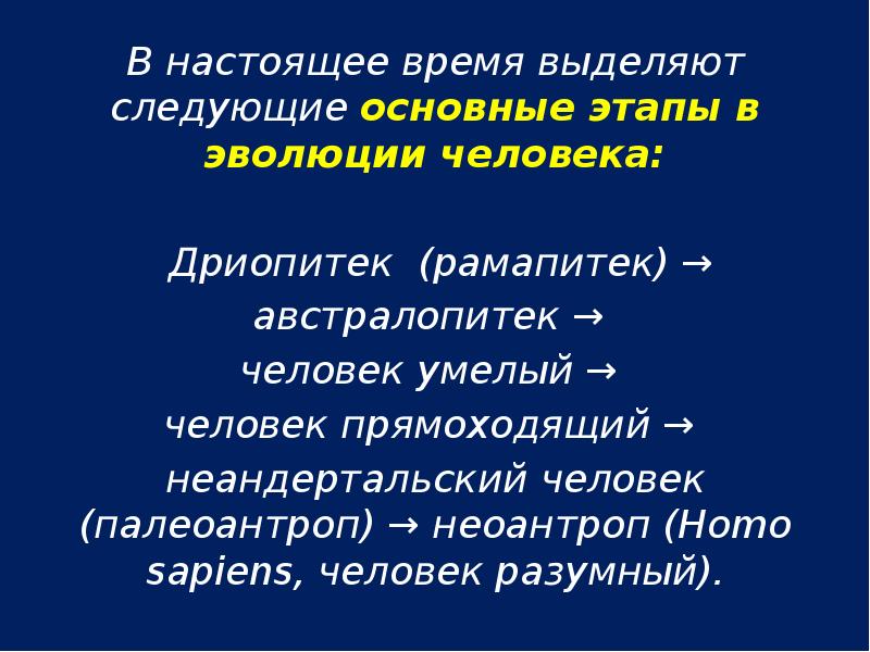 Основные этапы эволюции приматов презентация