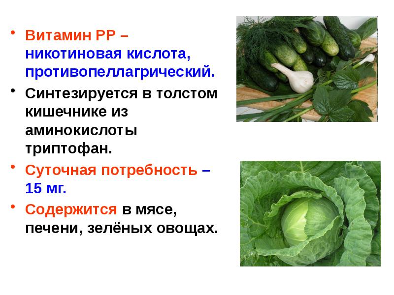 Содержится ли в листьях салата никотиновая кислота