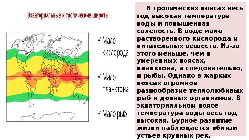 Умеренный пояс температура. Температура умеренного пояса. Интересные факты о умеренном поясе. Вода умеренного пояса. Соленость тропических вод ниже экваториальных.