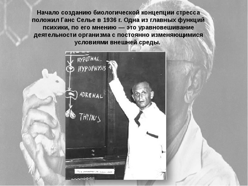 Теория стресса ганса селье. Ганс Селье дистресс. Ученый Ганс Селье. Канадский физиолог Ганс Селье. Теория Ганса Селье.