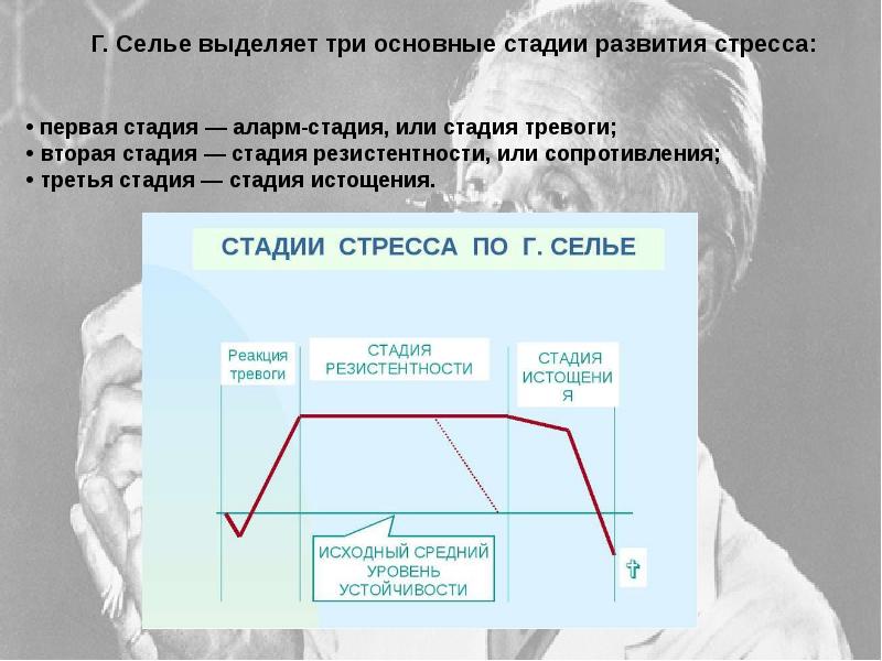 В схеме г селье автором описана такая последовательность протекания стресса