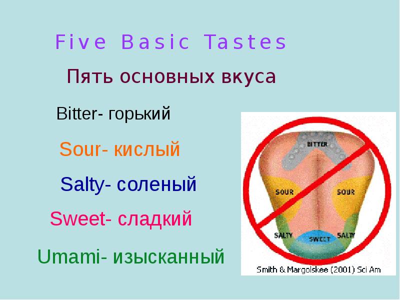 Какие пять вкусов. Пять видов вкуса. 5 Основных вкусов. Вкусы виды умами. Пятый вкус умами.