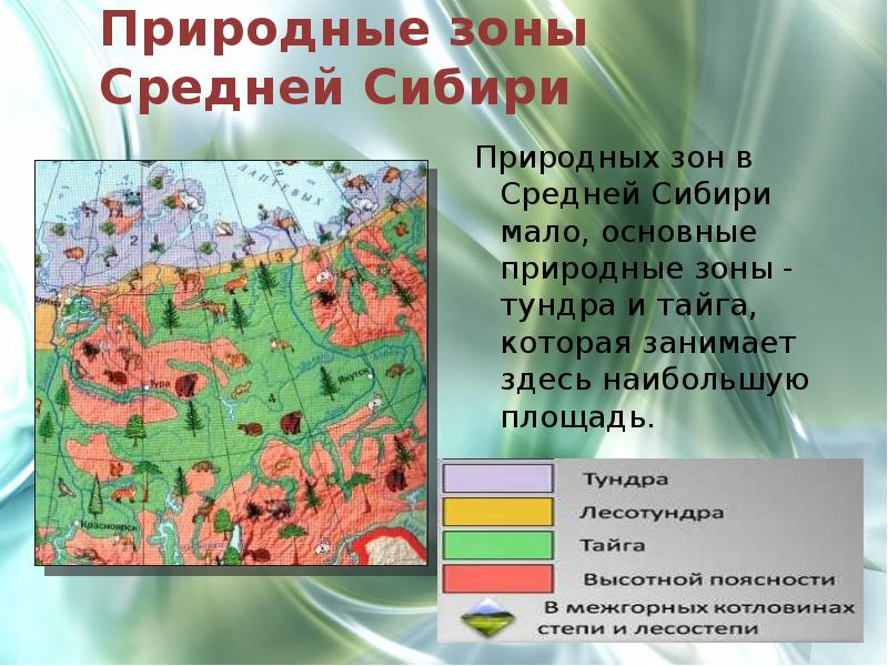 В сибири большую площадь занимает природная зона. Природные зоны средней Сибири. Природные зоны средней Сибири 8 класс. Средняя Сибирь географическое положение. Природные зоны средней Сибири Тайга.